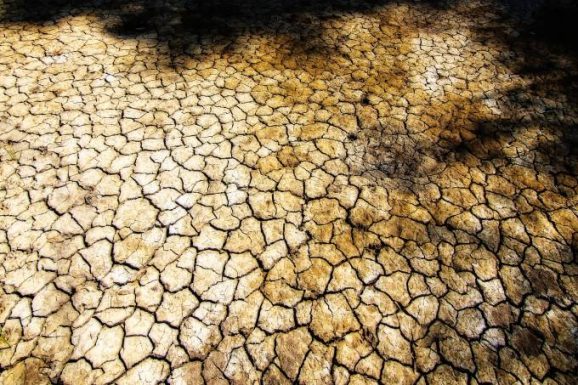 Secas intensas no Nordeste prejudicam o povo não só diretamente, mas também por meio da morte de gado e destruição de lavouras. (Musse Jereissati/Pixabay)