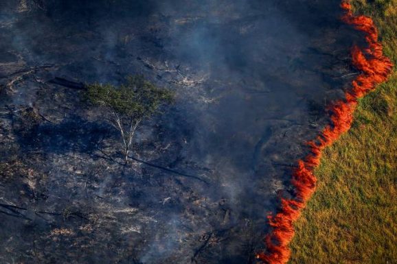 -Devastação da floresta também é prejudicial à saúde (Bruno Kelly/Reuters)