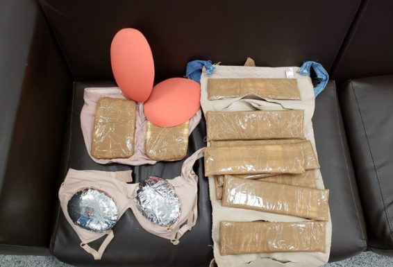 Droga estava nas roupas íntimas da mulher que foi presa — Foto: Polícia Federal/ Divulgação