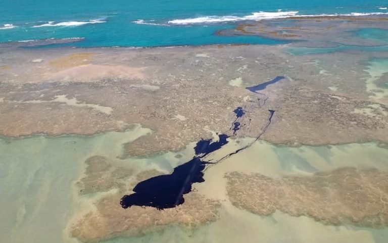 Mancha de petróleo voltou a aparecer no litoral de Pernambuco — Foto: Reprodução/TV Globo