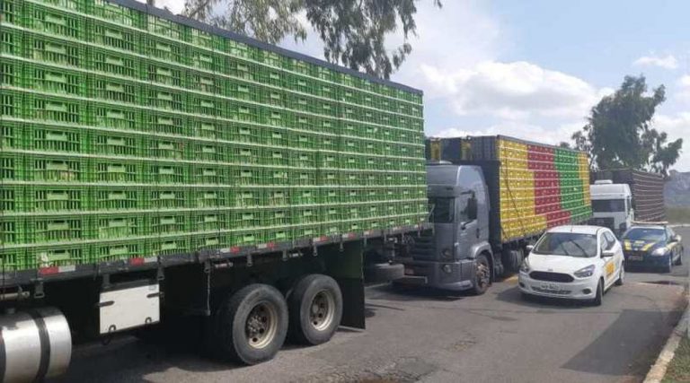 Três caminhões são apreendidos com aves transportadas irregularmente na BR-116 — Foto: Divulgação/PRF
