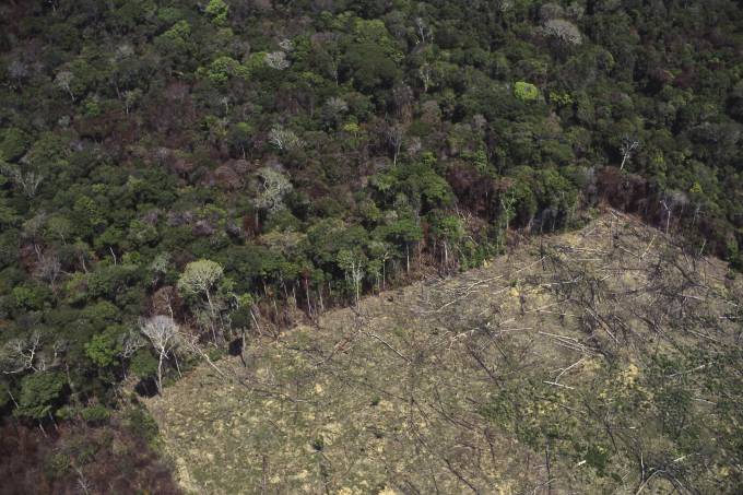 Desmatamento da floresta amazônica para a agricultura (Jose Caldas/Brazil Photos/LightRocket/Getty Images)