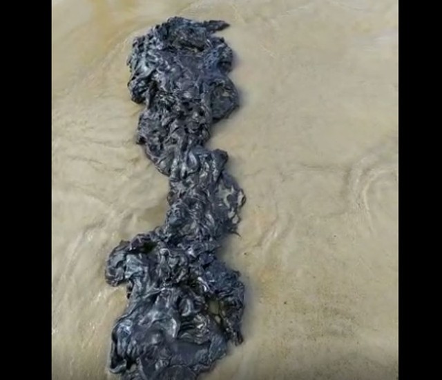 Fragmento de óleo achado em praia de Belmonte nesta quarta-feira (20) — Foto: Reprodução/Redes Sociais