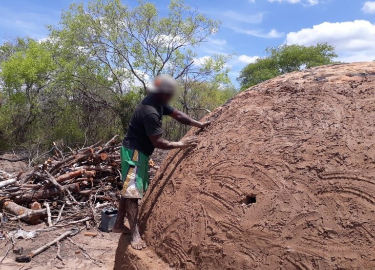 Trabalhadores da Bahia foram resgatados de carvoaria no Sul do Piauí — Foto: Divulgação