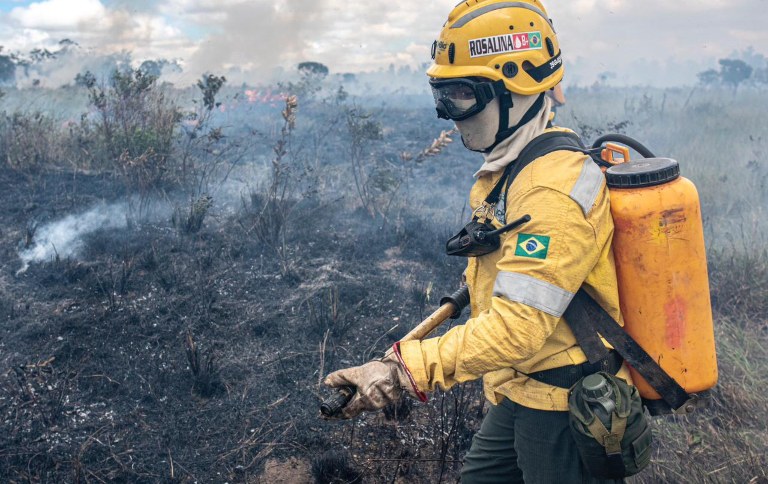 ICMBio abre mais de 1,7 mil vagas para brigadistas florestais em todo o Brasil